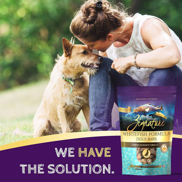 Zignature Whitefish Formula Ziggy Bars with Pumpkin Dog Treats
