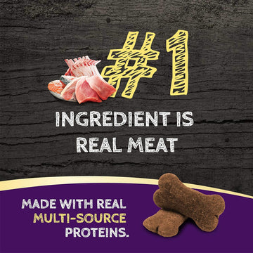 Zignature Zssential Formula Ziggy Bars with Pumpkin Dog Treats