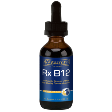 Rx Vitamins Rx B12 Liquid Digestive Supplement For Dogs and Cats (4 oz)