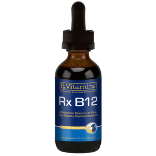 Rx Vitamins Rx B12 Liquid Digestive Supplement For Dogs and Cats (4 oz)