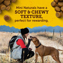 Person with a dog in a field, promoting Mini Naturals dog treats with text about texture.