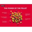 ZuPreem NutBlend with Natural Nut Flavor Parrot & Conure Food