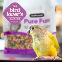 ZuPreem Pure Fun Parrot & Conure Bird Food