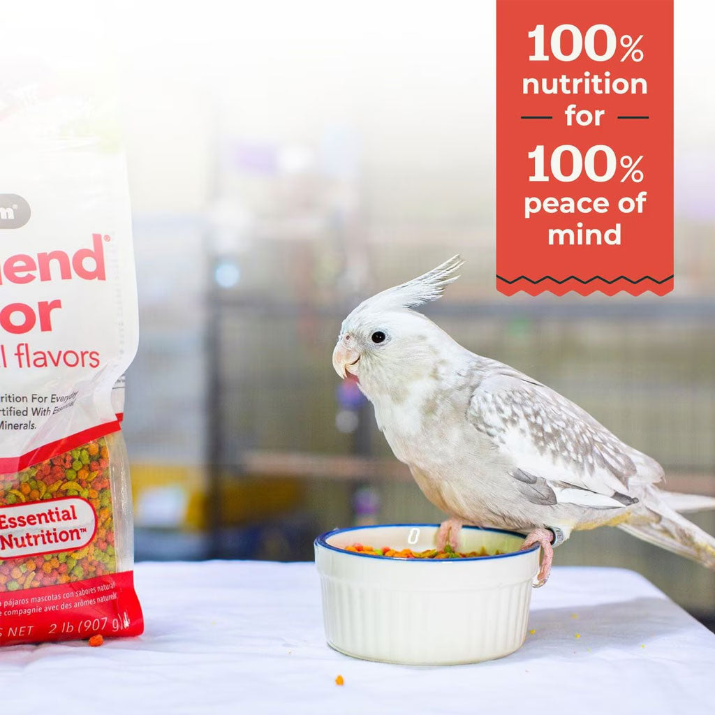 ZuPreem FruitBlend Flavor with Natural Flavors Daily Medium Bird Food