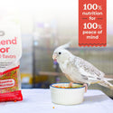 ZuPreem FruitBlend Flavor with Natural Flavors Daily Medium Bird Food