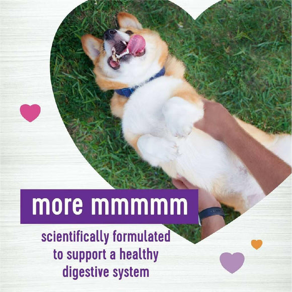 Wellness Belly Digestive Health Support Supplement for Dogs, 45 count