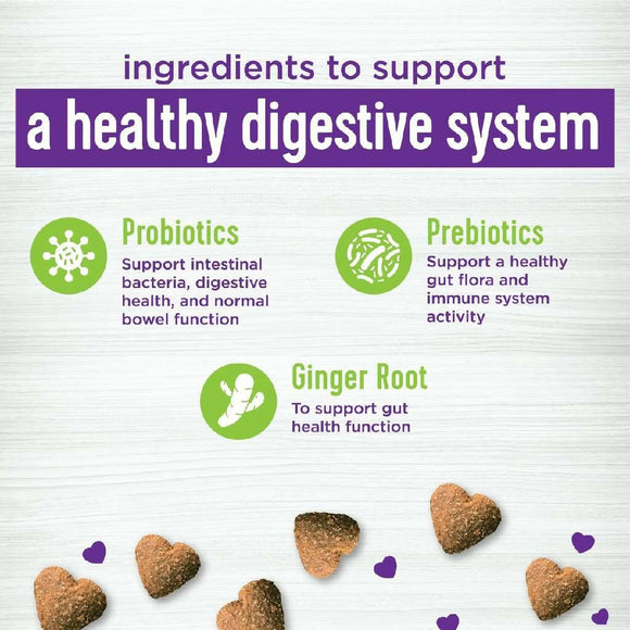 Wellness Belly Digestive Health Support Supplement for Dogs, 45 count