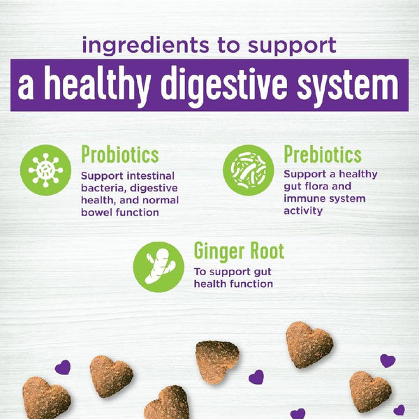 Wellness Belly Digestive Health Support Supplement for Dogs