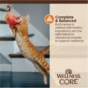 Wellness CORE Tiny Tasters Grain-Free Minced Chicken Wet Food for Cats (1.75 oz x 12 pouches)