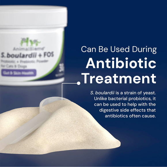 Probiotic powder container with text about its use during antibiotic treatment.