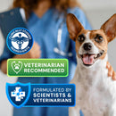 Dog with a veterinarian and product certification badges on a blurred background