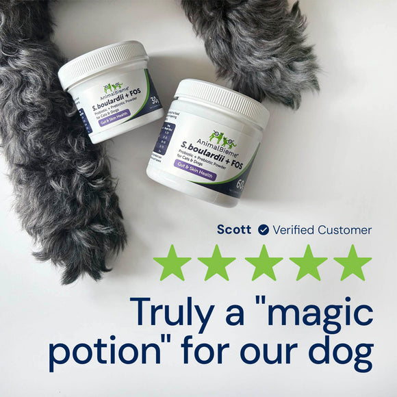 Two containers of AnimalBreed S. boulardii + FOS supplement with a dog's paw and five-star review text.