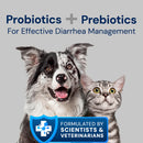 Dog and cat with text about probiotics and prebiotics for diarrhea management on a gray background