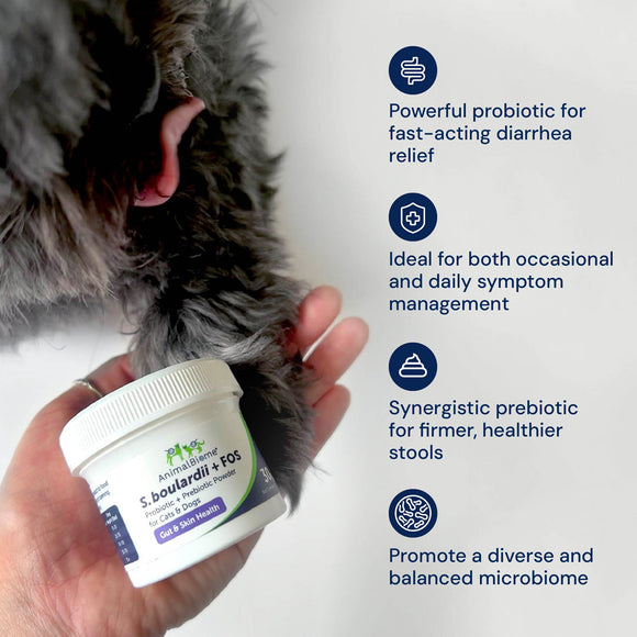 Hand holding a container of pet probiotic supplement with text on benefits.