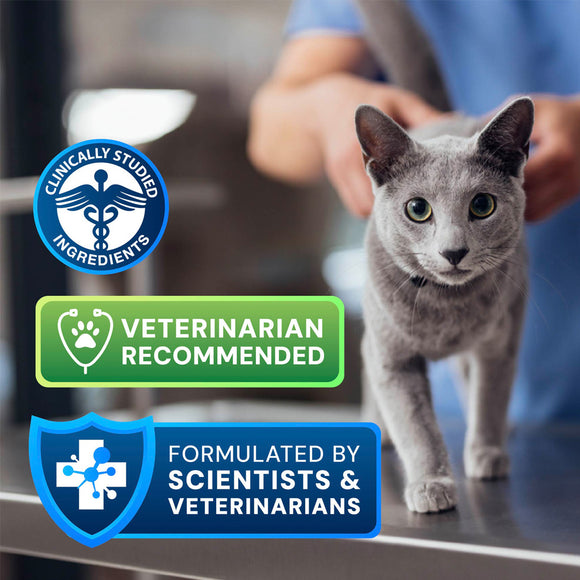Gray cat being held by a person with product certification badges on a blurred background