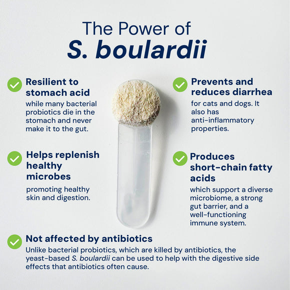 Yeast-based probiotic powder with text highlighting its benefits on a white background