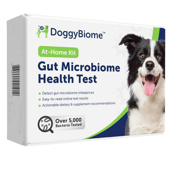 DoggyBiome Gut Microbiome Health Test kit packaging with a dog on the box.