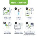 Step-by-step guide on how to order a gut health test kit, collect a sample, send the sample, analyze the sample, receive a report, and seek further assistance.