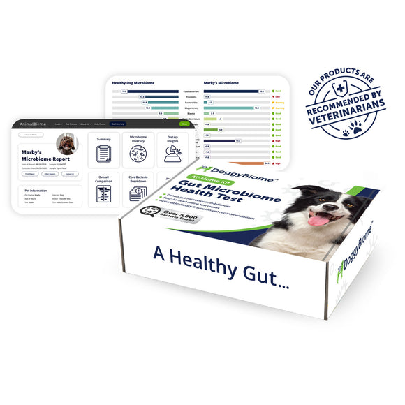 DoggyBiome Gut Microbiome Health Test kit with a dog on the packaging and a white background.