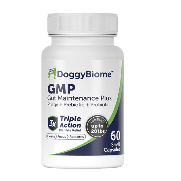 DoggyBiome GMP Gut Maintenance Plus supplement bottle on a white background