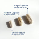 Three capsules labeled for different dog weight ranges on a white background