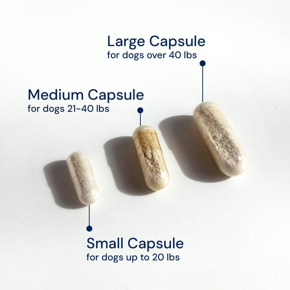 Three capsules labeled for different dog weight ranges on a white background