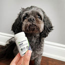 Dog holding a bottle of DoggyBiome GMP cat supplement with a person's hand in front