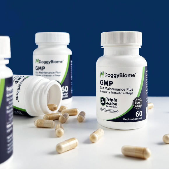 DoggyBiome GMP supplement bottles with capsules on a white surface against a blue background