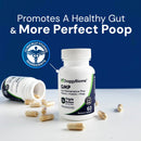 DoggyBiome GMP supplement bottle with capsules on a white surface against a blue background