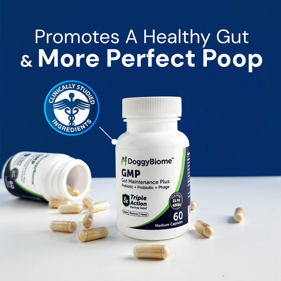 DoggyBiome GMP supplement bottle with capsules on a white surface against a blue background