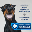 Dog with text about digestive health products on a gray background