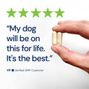 Hand holding two capsules with five green stars and a customer review on a white background