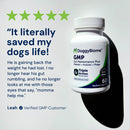 DoggyBiome GMP supplement bottle with customer testimonial on a white background
