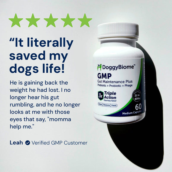 DoggyBiome GMP supplement bottle with customer testimonial on a white background