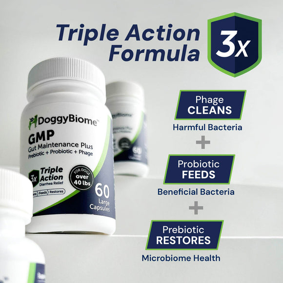 DoggyBiome GMP supplement bottle with text highlighting triple action formula on a light gray background