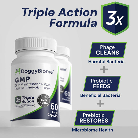 DoggyBiome GMP supplement bottle with text highlighting triple action formula on a gray background