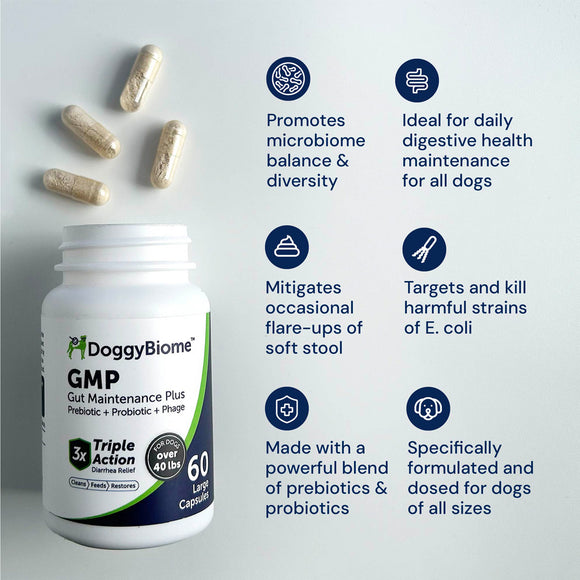 DoggyBiome GMP supplement bottle with capsules on a light gray background