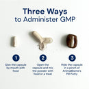 Three ways to administer GMP with capsules and instructions on a white background