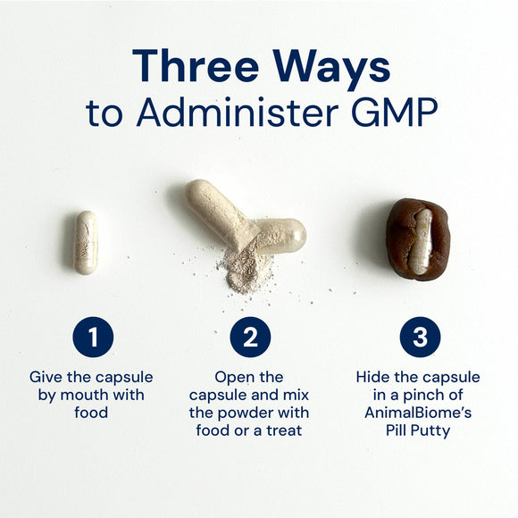 Three ways to administer GMP with capsules and instructions on a white background