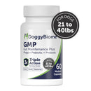DoggyBiome GMP Gut Maintenance Plus supplement bottle for dogs on a white background