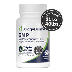 DoggyBiome GMP Gut Maintenance Plus supplement bottle for dogs on a white background