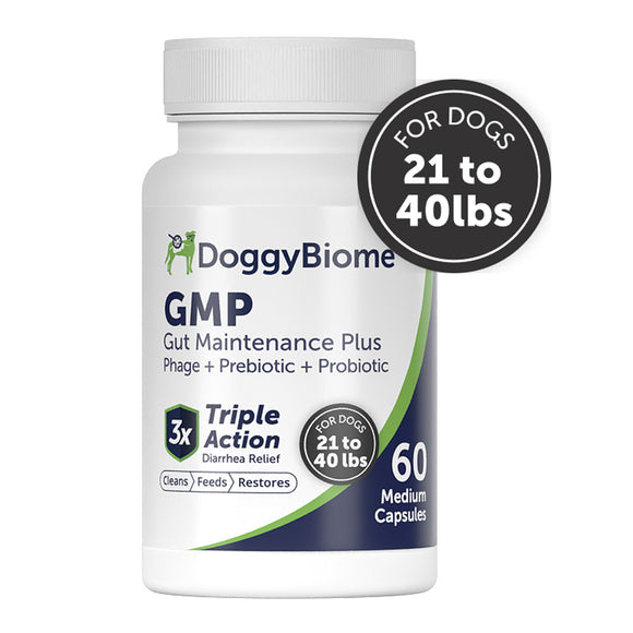 DoggyBiome GMP Gut Maintenance Plus supplement bottle for dogs on a white background