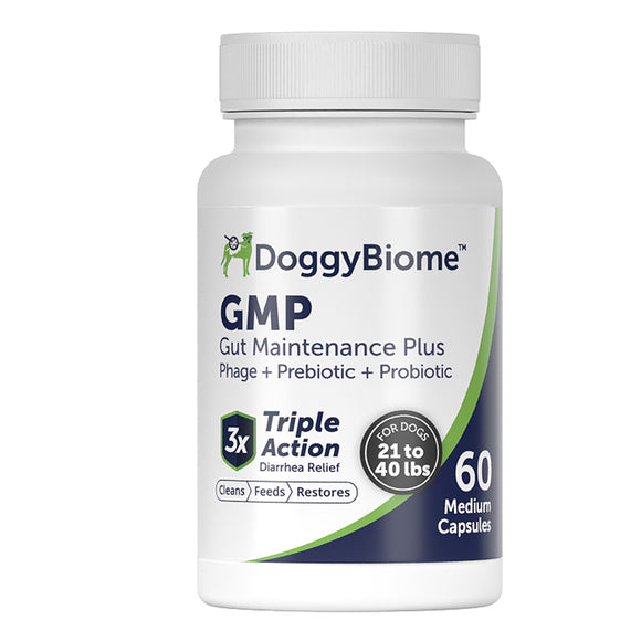 DoggyBiome GMP Gut Maintenance Plus supplement bottle on a white background