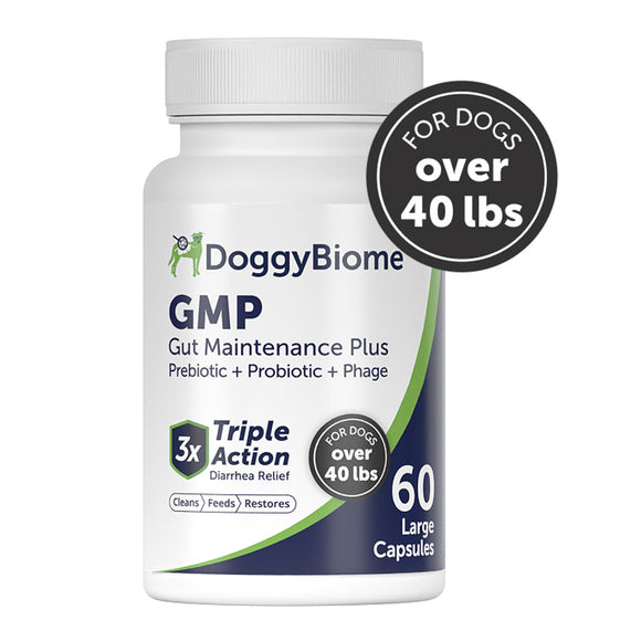 DoggyBiome GMP supplement bottle for dogs over 40 lbs on a white background