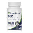 DoggyBiome GMP Gut Maintenance Plus supplement bottle on a white background