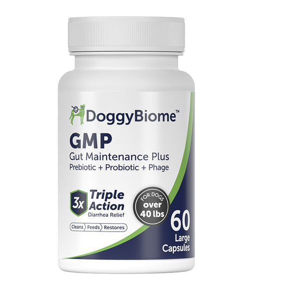 DoggyBiome GMP Gut Maintenance Plus supplement bottle on a white background