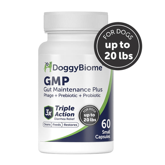 Doggy Biome GMP Gut Maintenance Plus for Dogs