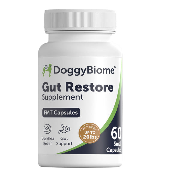 DoggyBiome Gut Restore Supplement bottle on a gray background