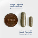 Two capsules, one large and one small, with a penny for scale on a white background.