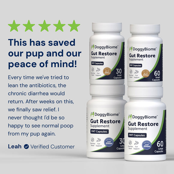 DoggyBiome Gut Restore supplement bottles with customer testimonial on a light gray background